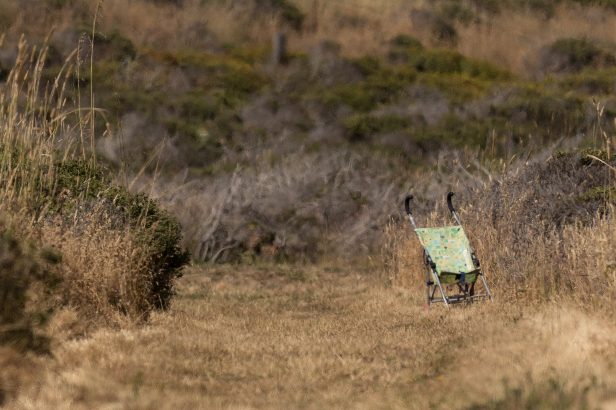 A mysteriously abandoned stroller, there was  no one anywhere near by